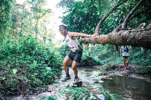 BIB: 
                            <button type="button" onclick="openModal(25431734)" class="btn btn-primary btn-sm float-right btn-popup" data-toggle="modal" data-target=".modal-high-quality">
                        <i class="fas fa-shopping-cart"></i> Add to Cart
                    </button>
                                            <button type="button" onclick="isThisMe(25431734, true)" class="btn btn-success btn-sm float-right btn-popup btn-isme hidden" data-toggle="tooltip" data-placement="bottom" title="นี่คือรูปของคุณใช่ไหม คลิกที่นี่เพื่อเอาเข้าอัลบั้ม">
                        <i class="fas fa-plus"></i> Add to album
                    </button>
                    <button type="button" onclick="isThisMe(25431734, false)" class="btn btn-warning btn-sm float-right btn-popup btn-isnotme hidden">
                        <i class="fas fa-ban"></i> Remove from album
                    </button>